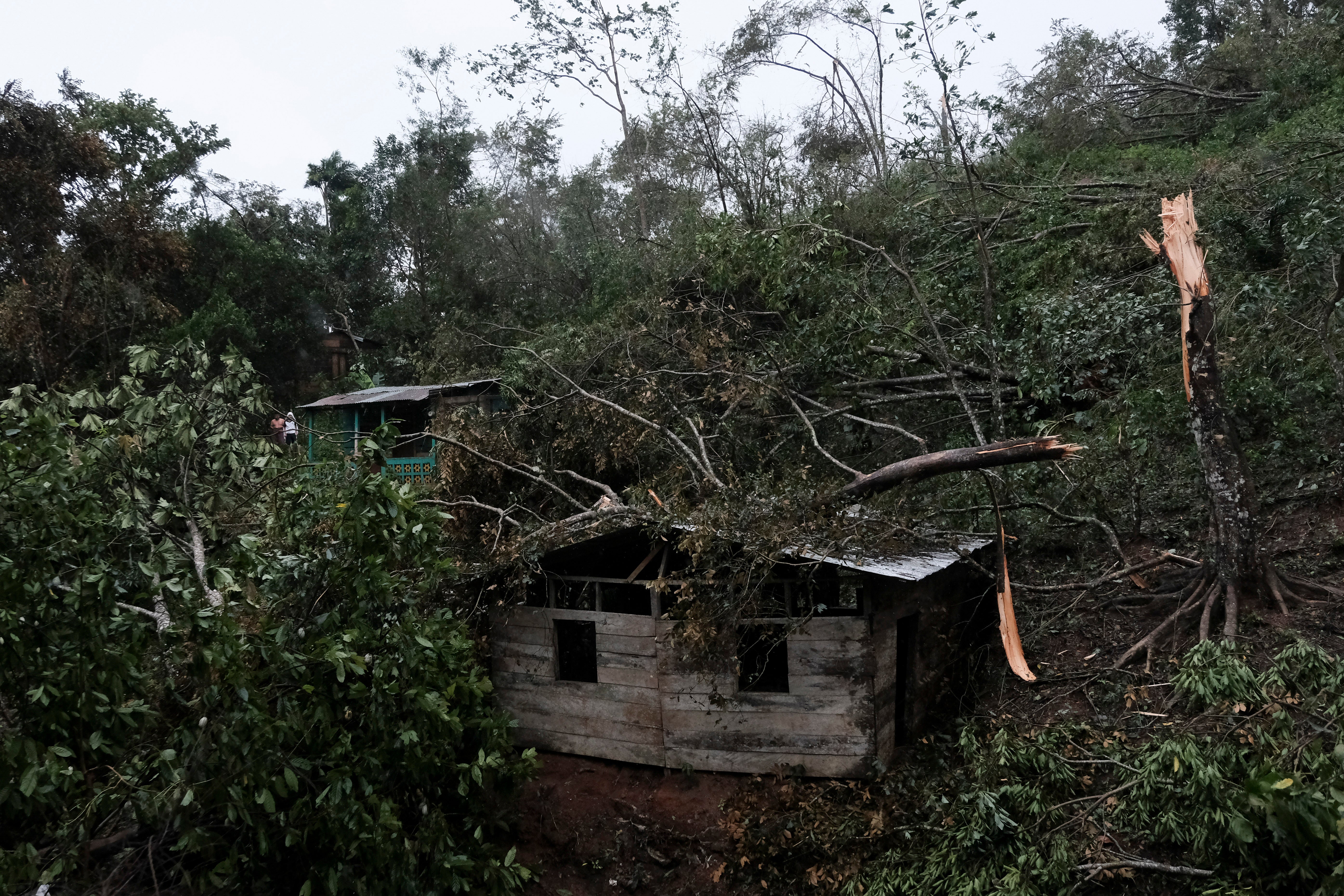 Las ramas de los árboles caídos cubren una casa después del paso del huracán Iota en Siuna, Nicaragua, el martes 17 de noviembre de 2020.