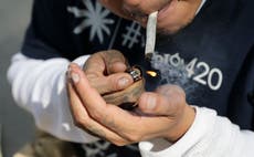 Senado de México aprueba iniciativa para legalizar marihuana