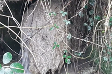 Bloqueo gigante es hallado en el río Gloucestershire del Reino Unido