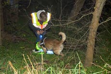 Hallan restos de hombre que presentaba evidencias de canibalismo