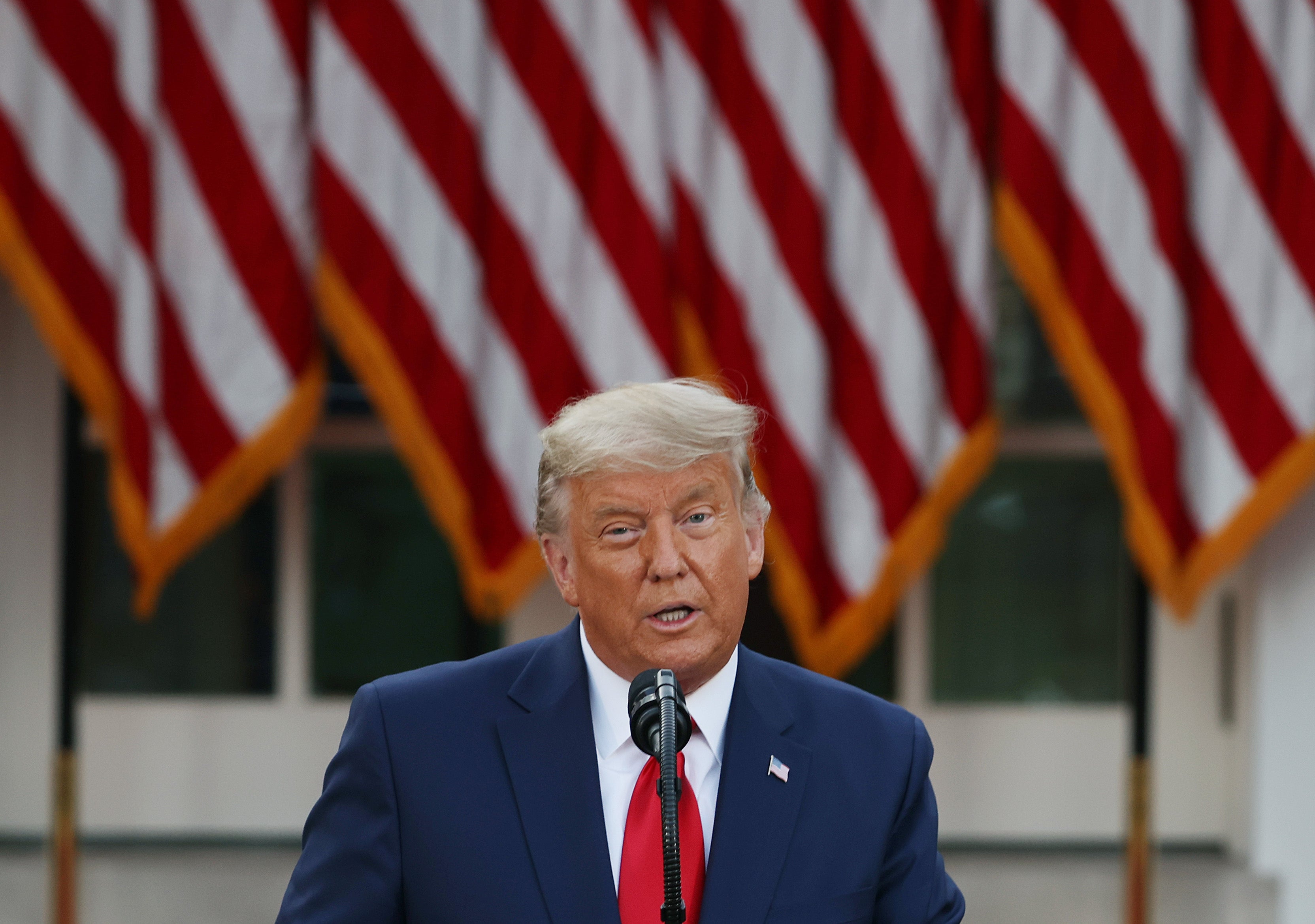 “Vergonzoso” Trump debería admitir derrota electoral: presidente checo