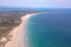 Muere hombre en playas australianas por ataque de tiburón 