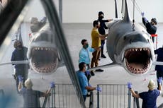 Bruce, el último "Tiburón", llega al Museo de la Academia