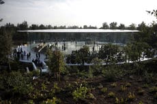 Jefe de seguridad de Apple es acusado de pactar permisos de armas