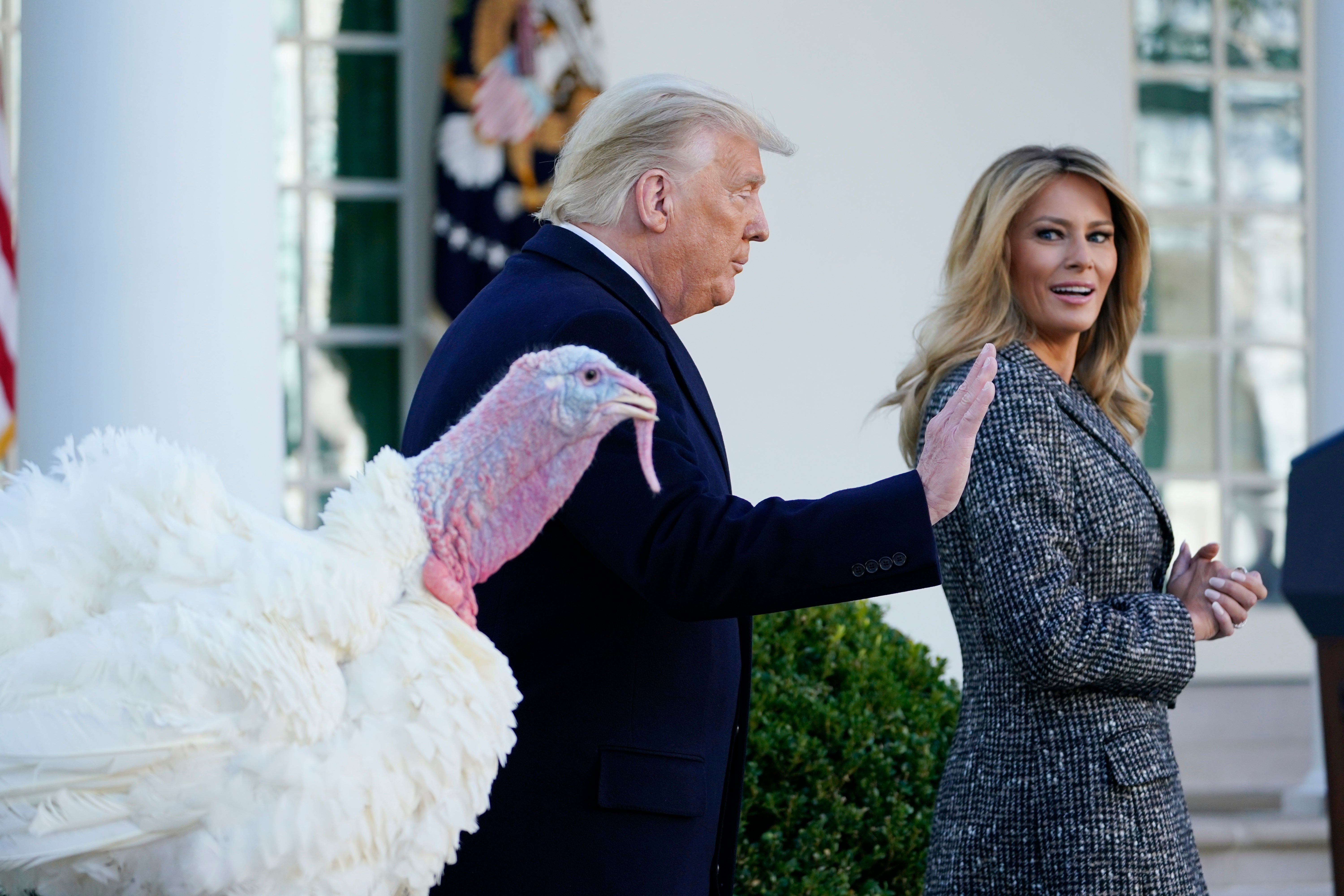 Indulto del pavo fue la humillación final de Trump