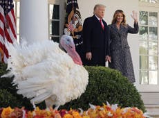Trump alienta a “reunirse” para el Día de Acción de Gracias
