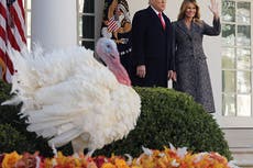 Trump alienta a “reunirse” para el Día de Acción de Gracias