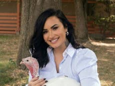Critican a Demi Lovato por cocinar un pavo tras visitar un santuario de animales