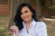 Redes sociales critican a Demi Lovato por esta polémica foto