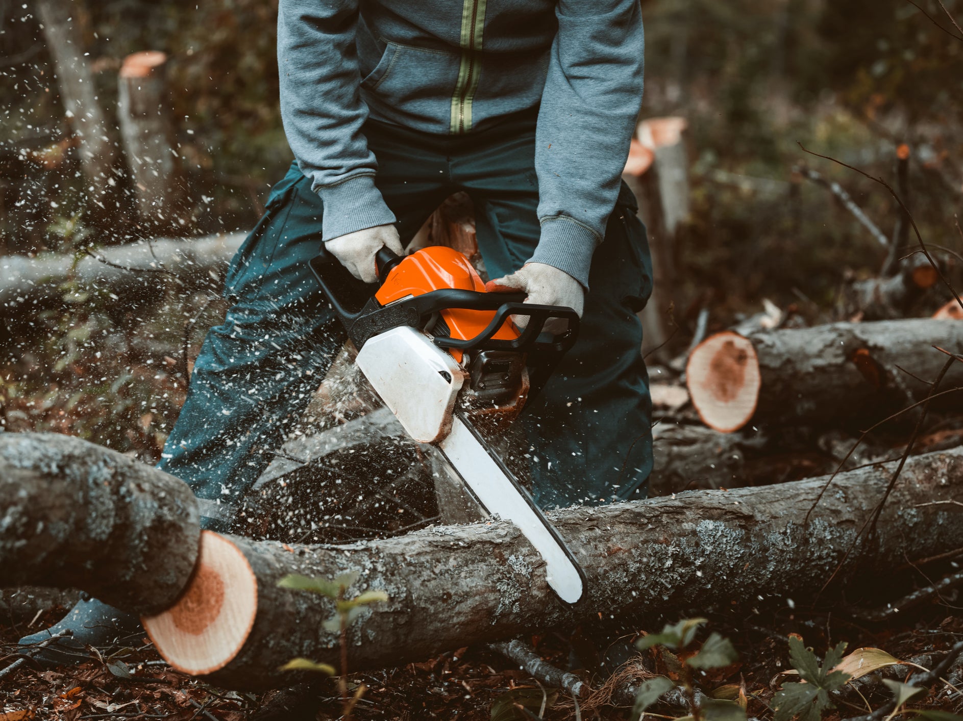 Los seres humanos libran una guerra “suicida” contra el mundo: ONU
