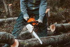 Los seres humanos libran una guerra “suicida” contra el mundo: ONU