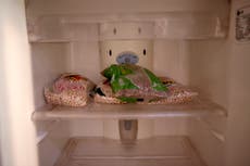 Hambruna afecta a más de 45 millones de personas en América Latina