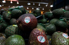 Pandemia no afecta la importación de aguacate mexicano a Estados Unidos