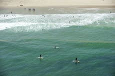 Surfista australiano sobrevive a ataque de tiburón blanco