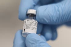 Vacuna de Pfizer enfrenta último obstáculo para ser aprobada en EE.UU