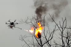 Dron lanzallamas arrasa con nidos de avispas en China