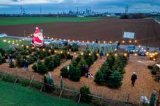 Alemania pide evitar compras navideñas antes de cuarentena