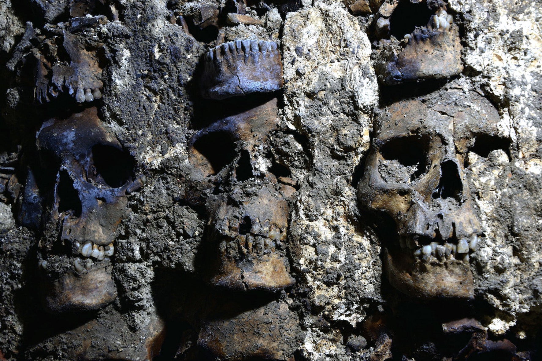 Se muestran tres cráneos en una sección recientemente descubierta de la torre de cráneos en la Ciudad de México el pasado 22 de septiembre de 2020.