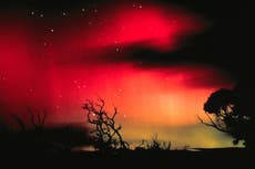 NASA lanzará dos misiones para comprender el peligro que representa el Sol para la Tierra