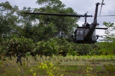 Colombia erradicó 130.000 hectáreas de coca en 2020