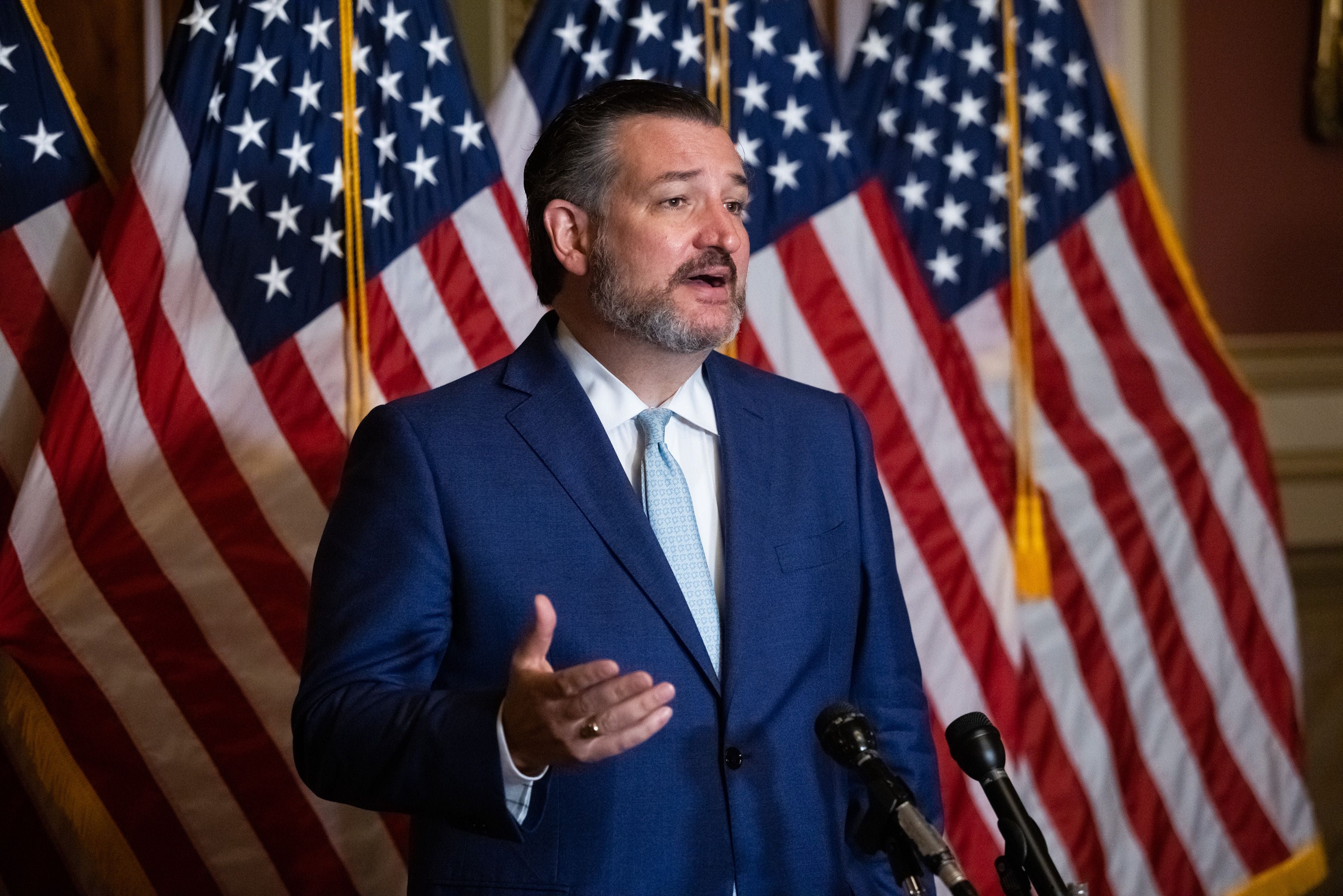 <p>Cruz amenazó con objetar la certificación de las elecciones en el Senado el 6 de enero</p>