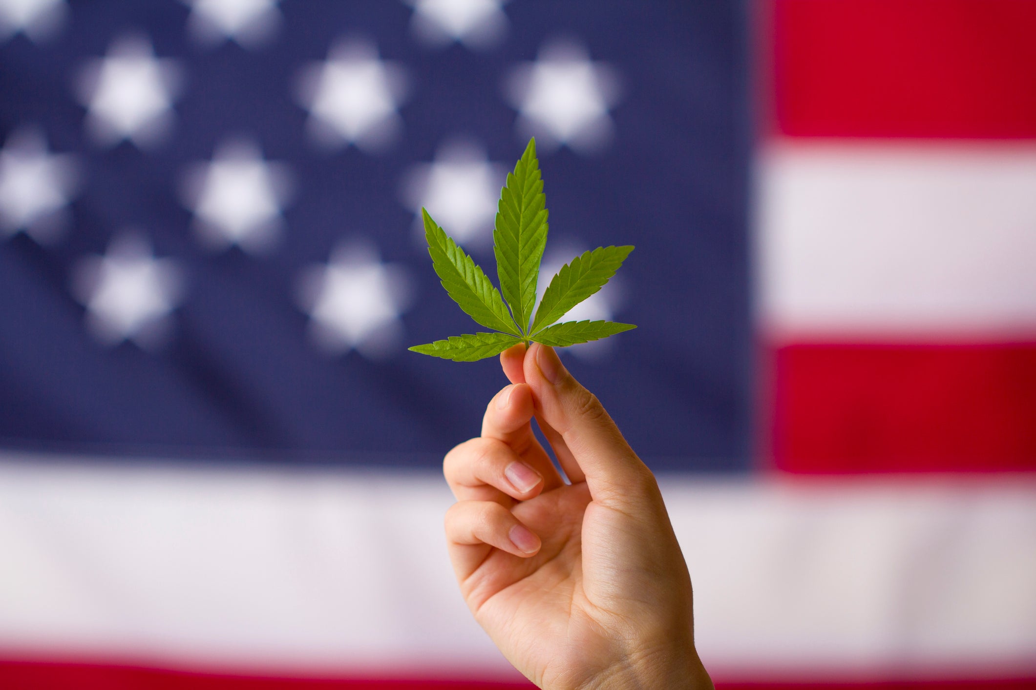 Legalización del cannabis en los estados unidos de américa. Hoja de cannabis en manos sobre fondo de bandera de Estados Unidos.