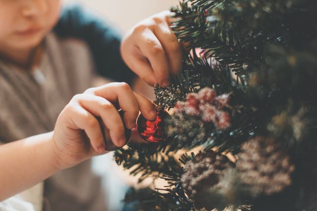 Por favor, deshazte de tu árbol de forma responsable