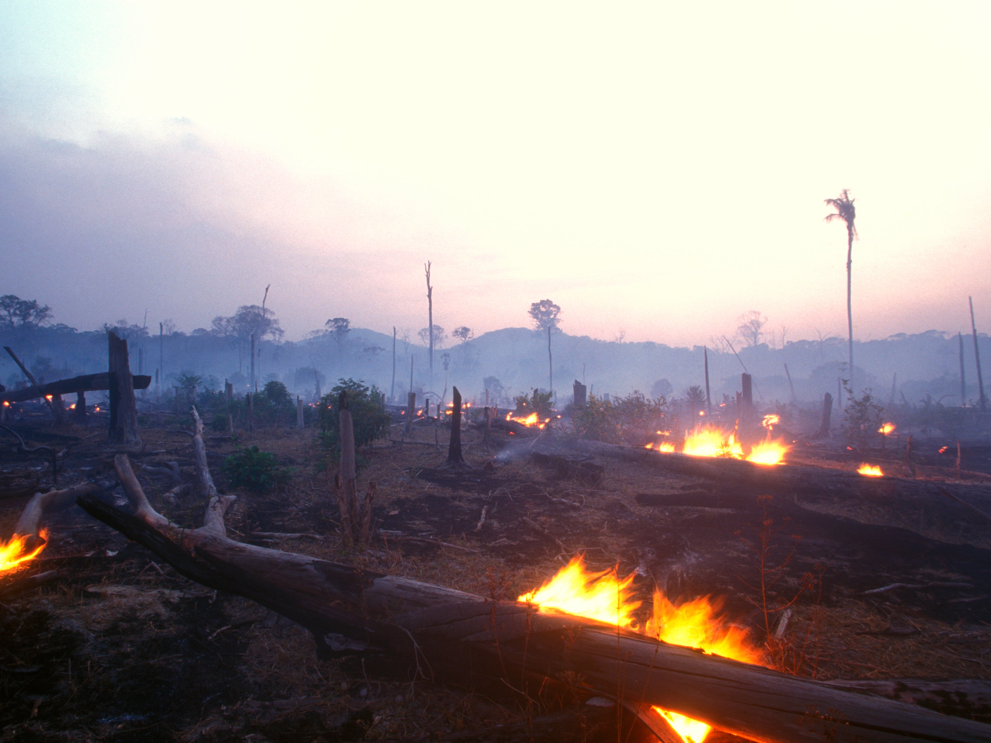 Un páramo en llamas en lo que solía ser parte de la selva amazónica