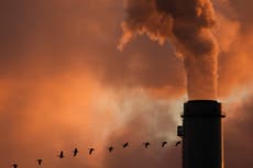 Estudio: Calentamiento global ya producido anulará objetivos