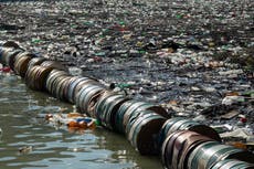 El riesgo de los microplásticos: solo 9 por ciento del plástico producido desde 1950 se ha reciclado