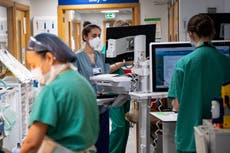 Número récord de estudiantes para formar la próxima generación de enfermeros y médicos en Reino Unido