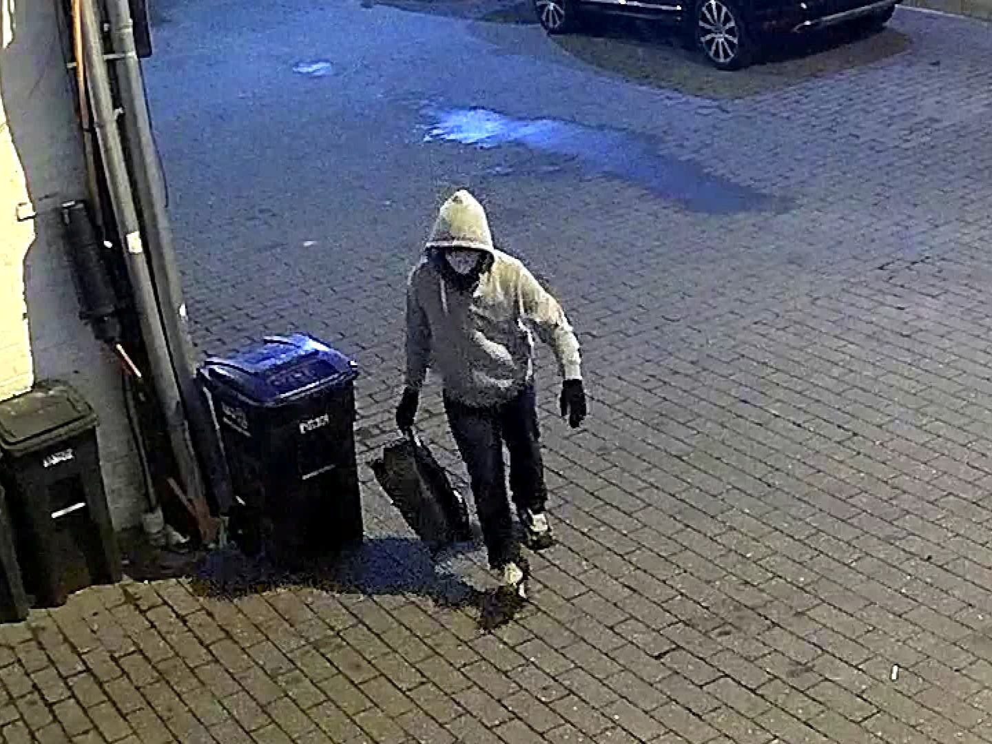 Capitolio: FBI ofrece 100 mil dólares por hombre que puso bombas