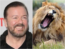 Zoológico de Londres responde a la oferta de Ricky Gervais de ser comido por leones