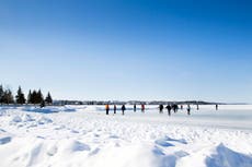 Cambio climático: Peligra el hockey sobre hielo al aire libre