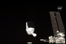 Regresan vino y viñas francesas tras un año en el espacio