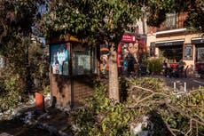 Tras nevada, Madrid lidia con basura y escombros acumulados