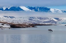 ¿Cómo hicieron los primeros exploradores del Ártico para sobrevivir al hambre, el escorbuto y el aburrimiento?