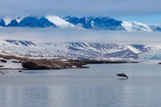 ¿Cómo hicieron los primeros exploradores del Ártico para sobrevivir al hambre, el escorbuto y el aburrimiento?