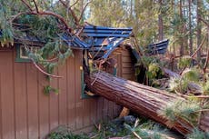 California: Parque Nacional Yosemite registra afectaciones por vientos