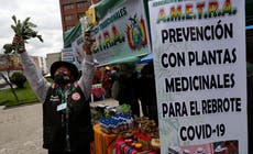 Bolivia impulsa la medicina tradicional contra COVID-19