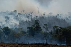 Brasil concluirá protección militar de Amazonía