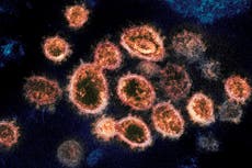 Nueva variante de coronavirus llega a EEUU
