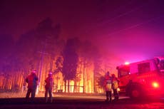 Estiman pérdida de 30 casas por incendios forestales en Australia