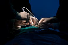 ¿De qué murió Silvina Luna, actriz y modelo argentina de 43 años?