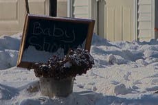 Michigan: Hombre muere durante un baby shower al explotar un cañón