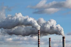 La contaminación por combustibles fósiles es responsable de “una de cada cinco muertes en todo el mundo”