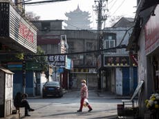 “Extremadamente improbable” que COVID se haya propagado por fuga de laboratorio en Wuhan, dice la OMS