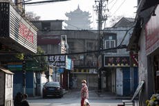 “Extremadamente improbable” que COVID se haya propagado por fuga de laboratorio en Wuhan, dice la OMS