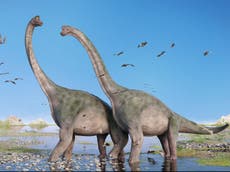 Un periódico de Texas publica editorial que afirma que los humanos y dinosaurios caminaron por la Tierra al mismo tiempo