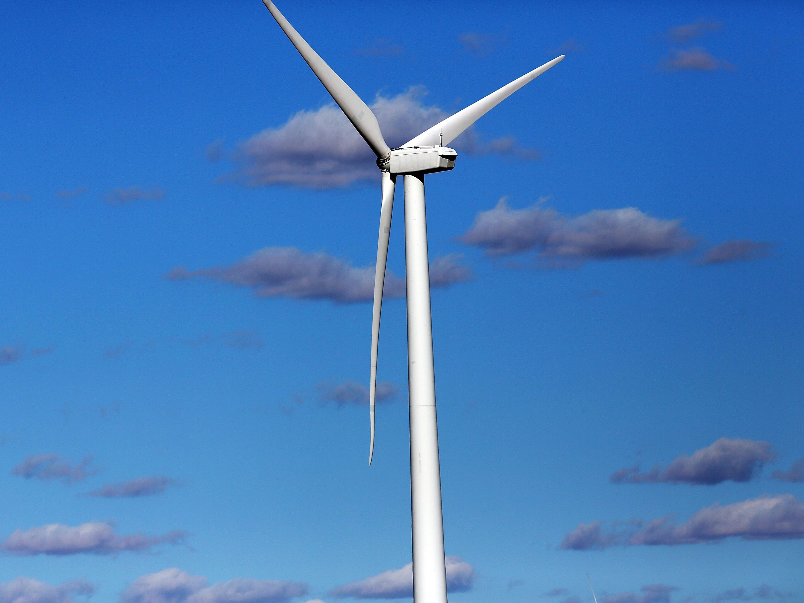 Las turbinas eólicas se están congelando en Texas en medio de una tormenta “sin precedentes”